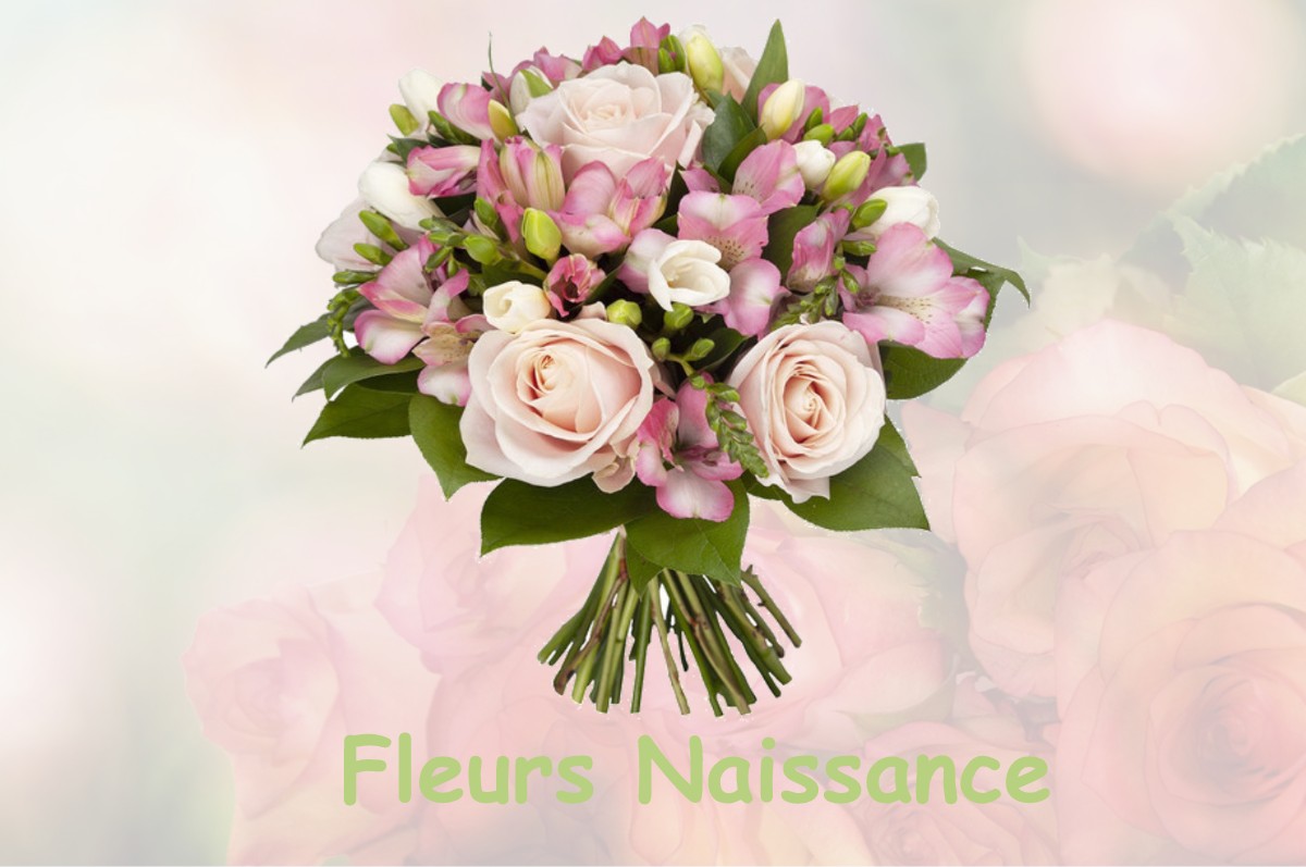 fleurs naissance BROMEILLES