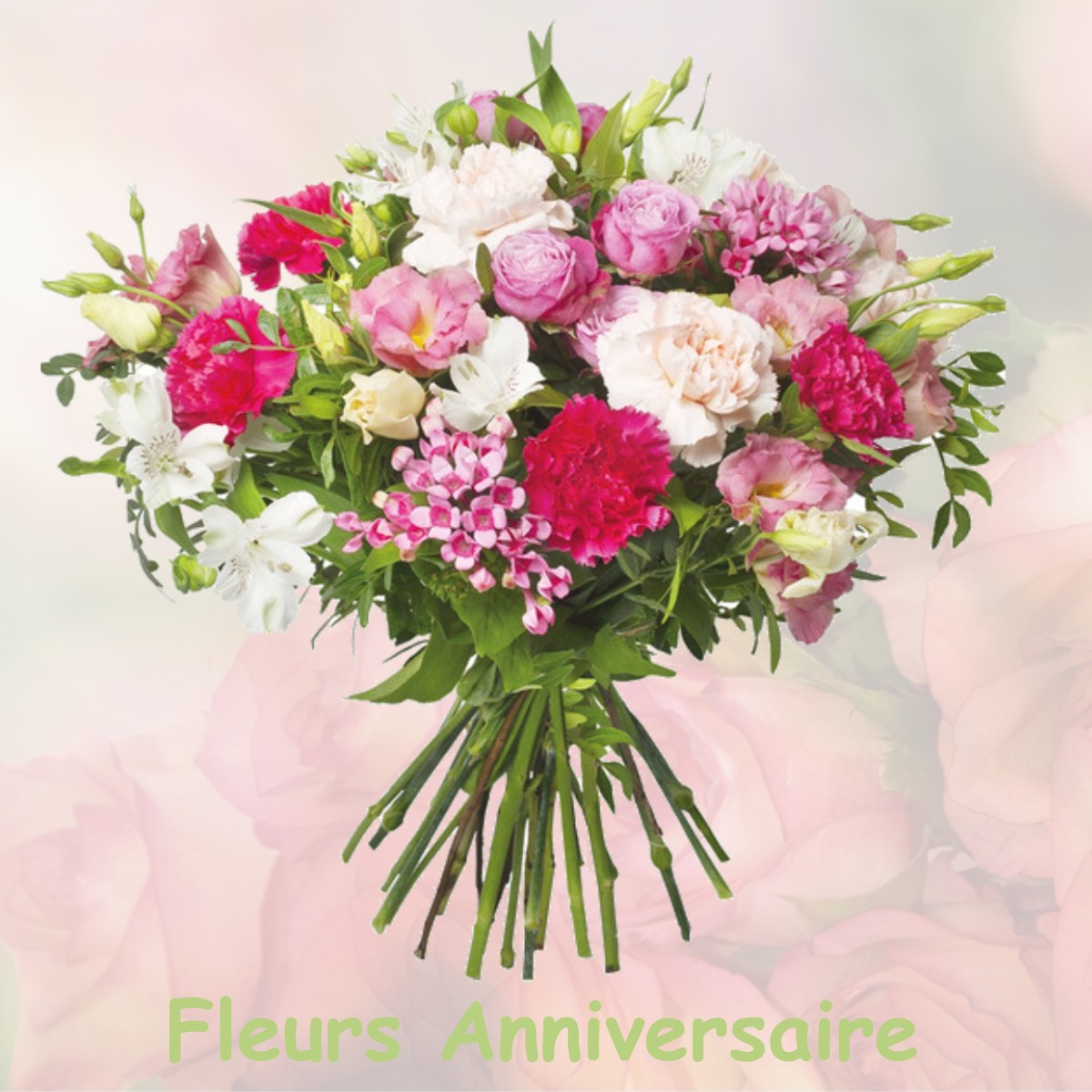 fleurs anniversaire BROMEILLES