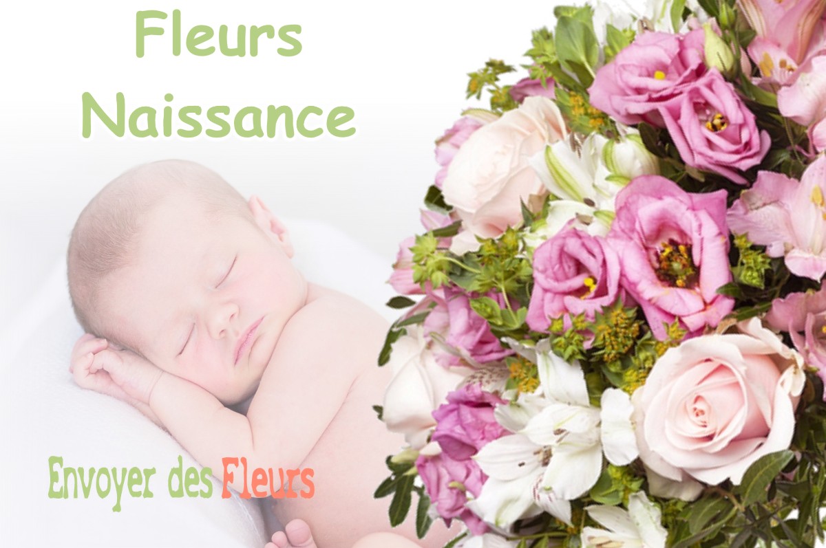 lIVRAISON FLEURS NAISSANCE à BROMEILLES